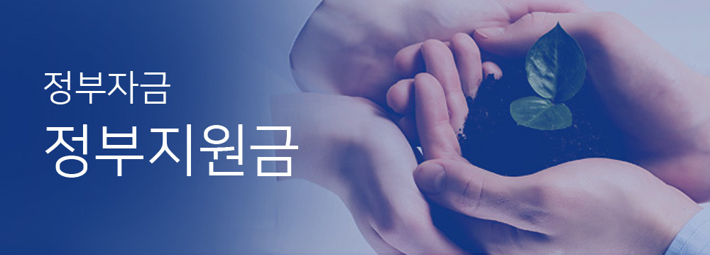 정부지원금