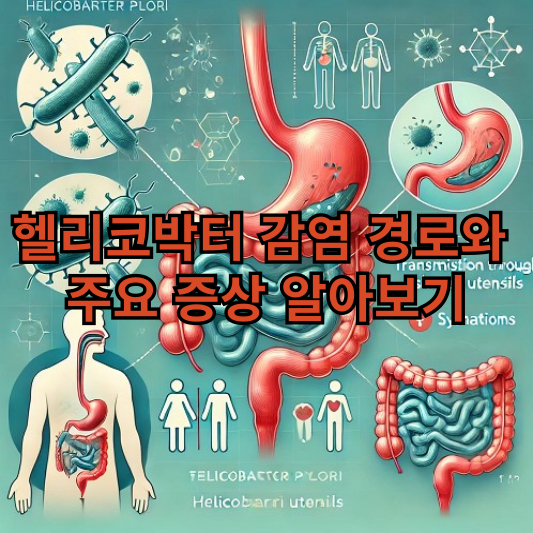 헬리코박터-감염경로-주요증상