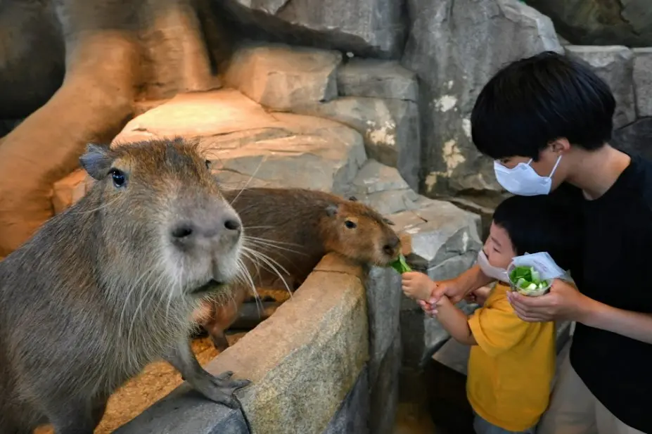 오산 버드파크 후기 사진12