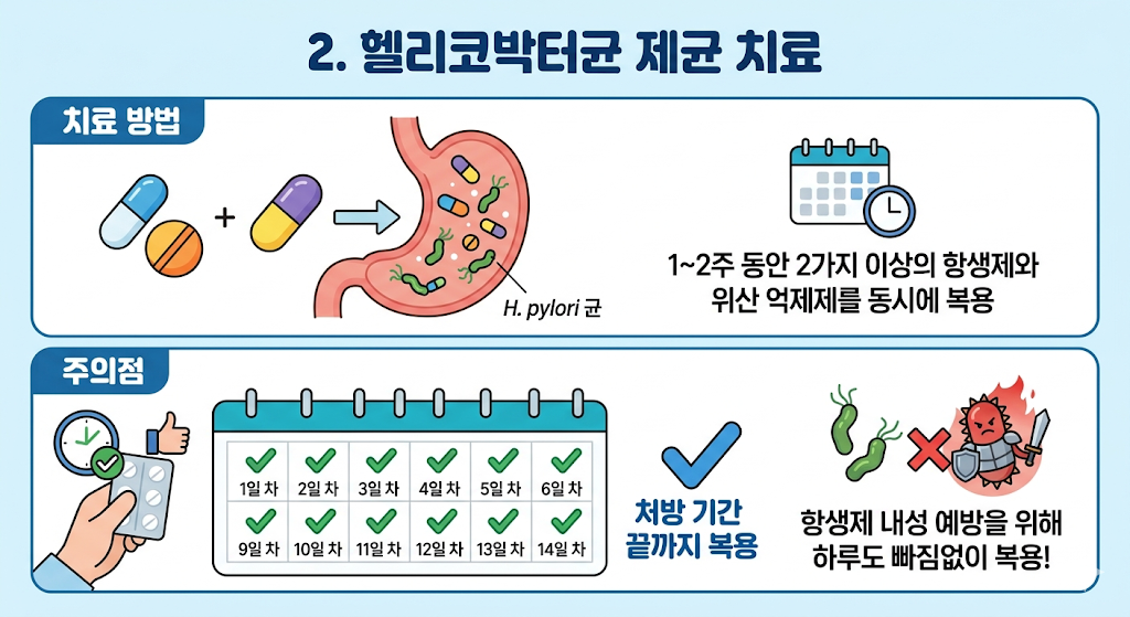 헬리코박터균 제균 치료