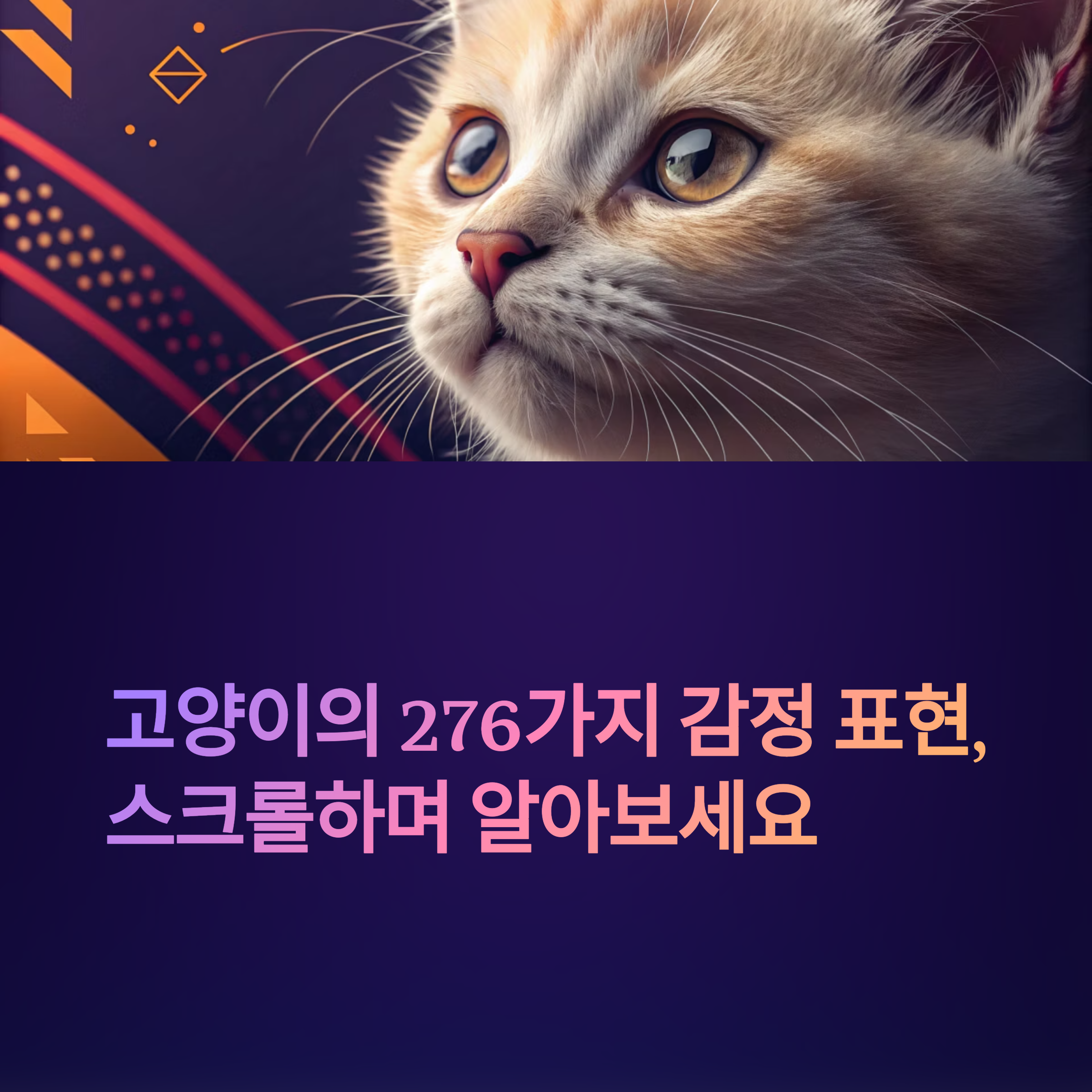 고양이의 276가지 감정표현