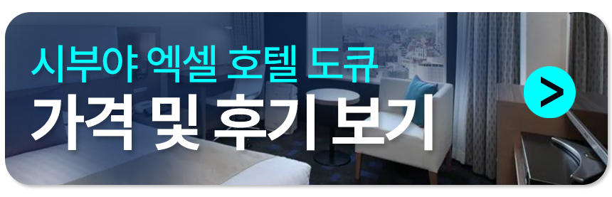 시부야 엑셀 도큐