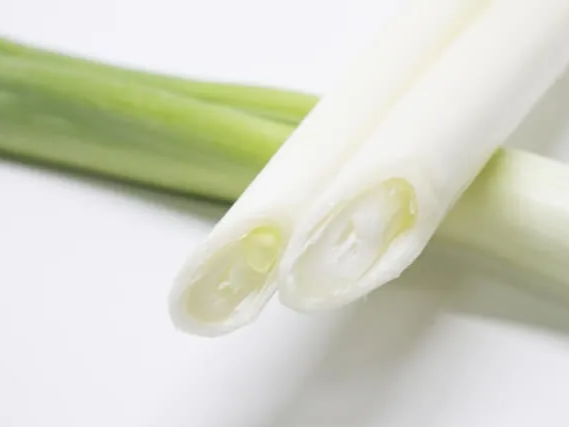 염증 반을을 완화하는 대파