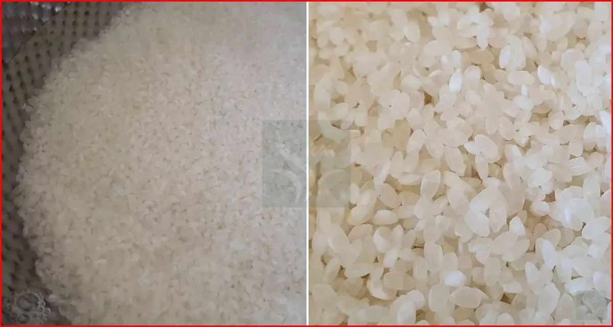 회색 쌀 세척 후