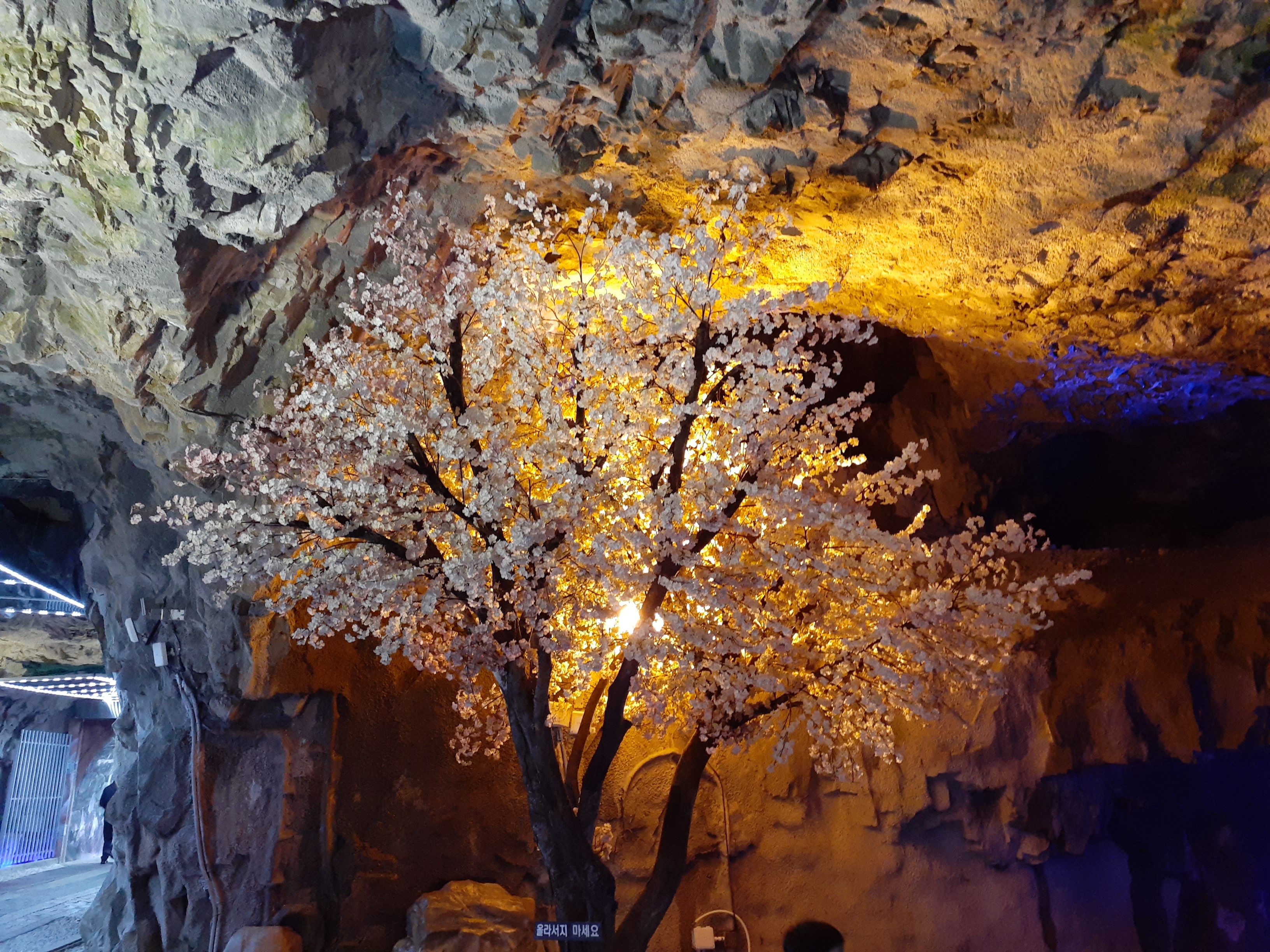 자수정동굴나라