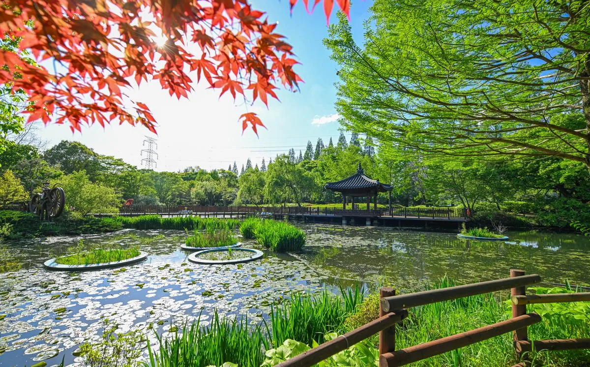 경상남도 수목원 5월의 꽃 관음죽꽃 핑퐁나무 황금자주달개비 마가렛 만첩빈도리 자란 크레이프자스민_1