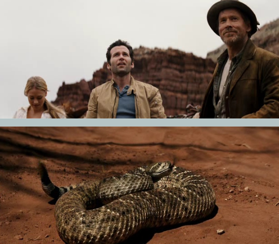 더 캐년 스틸 컷