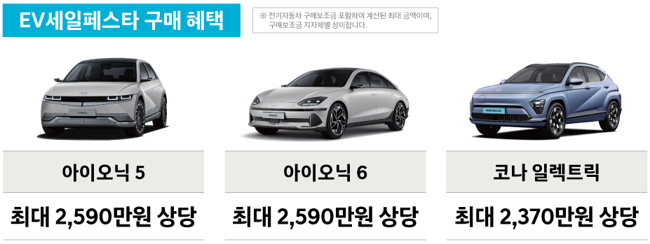 아이오닉5, 아이오닉6 할인