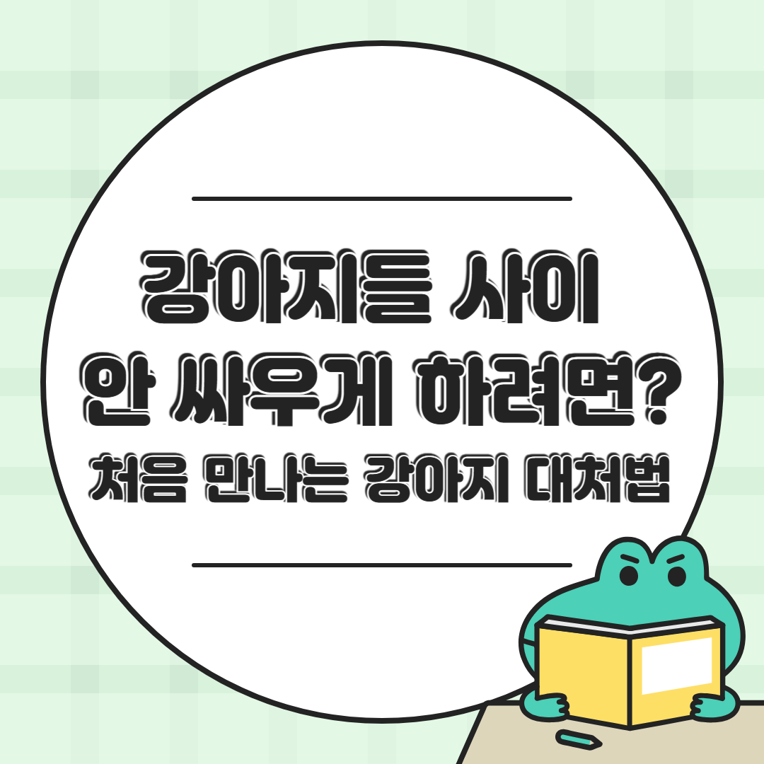 처음 만나는 강아지와도 사이좋게! 반려견 사회성 훈련 가이드