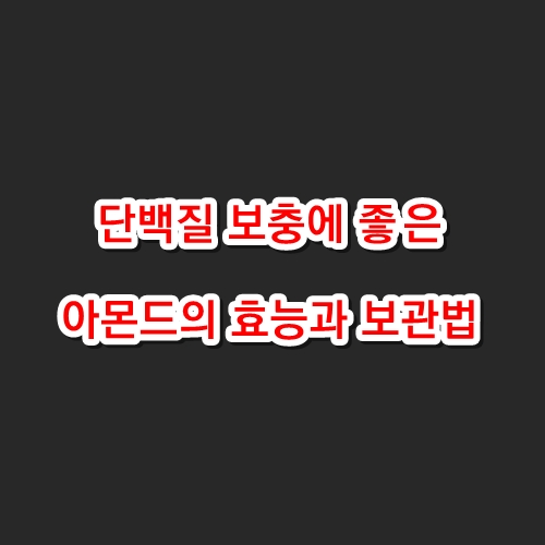 아몬드의 효능과 보관(아몬드 단백질 보충)