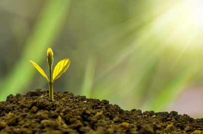 정부 민생회복 소비쿠폰 관련주 지역화폐 수혜주 (+2025년 최신판)