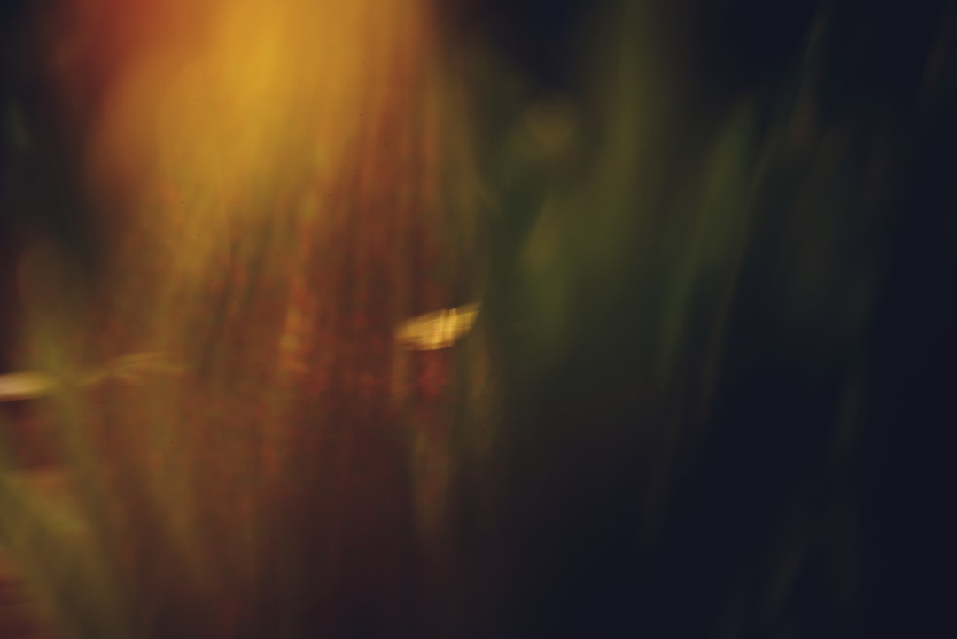 Shin.