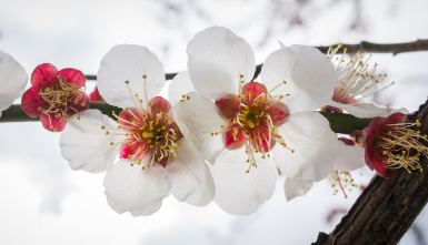 화담숲-예약하기