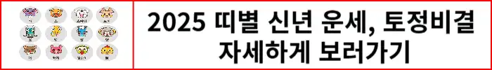 2025년-신년운세-토정비결-자세하게-보러가기