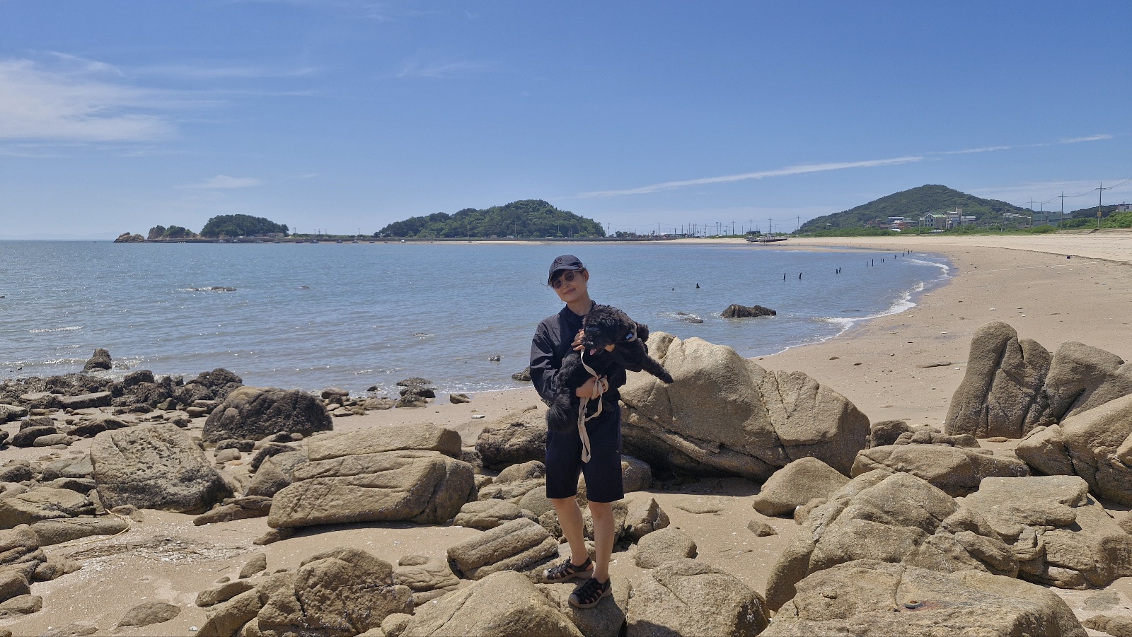 수의사가 알려준 강아지 발톱깎기,귀청소,항문낭 관리법