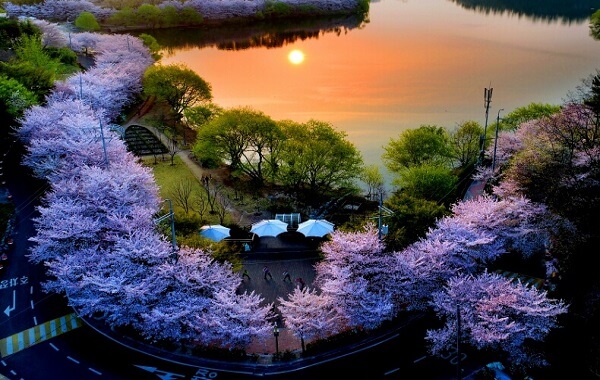 울산 선암호수공원