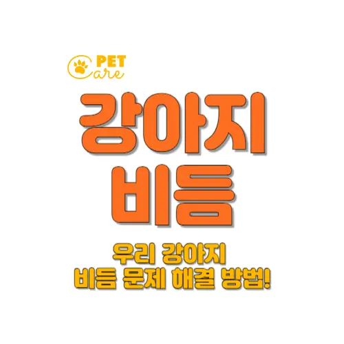 강아지 비듬 썸네일
