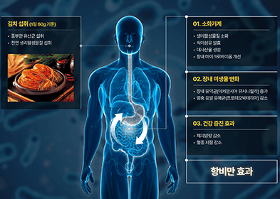 전통 김치&amp;#44; 집에서 즐기는 한국의 깊은 맛