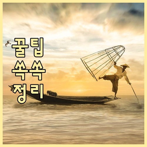 갈월동 일반 음식물 쓰레기 정확한 배..