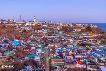 묵호항 배시간표 배편 요금 예약_1