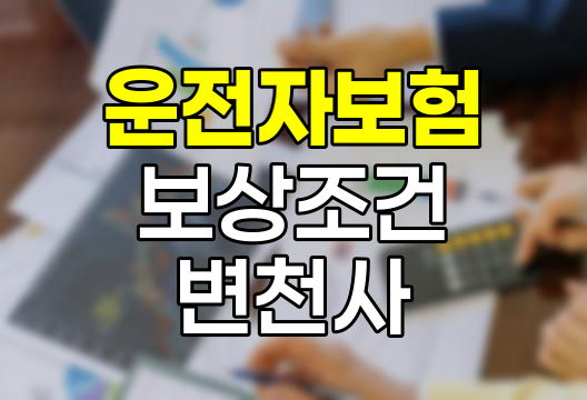 운전자보험 보상조건 변천사 분석