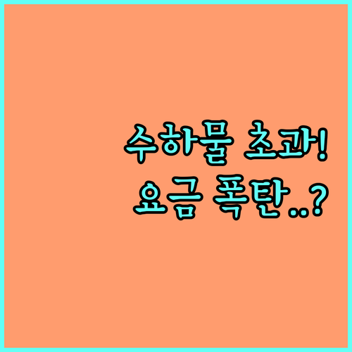 에어캐나다 수하물 초과 요금과 무게 ..