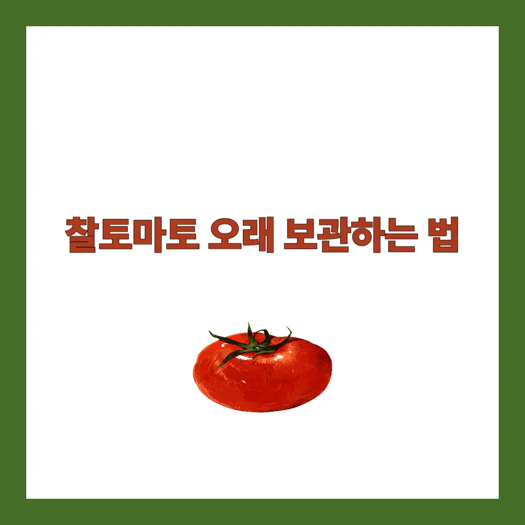 찰토마토 보관