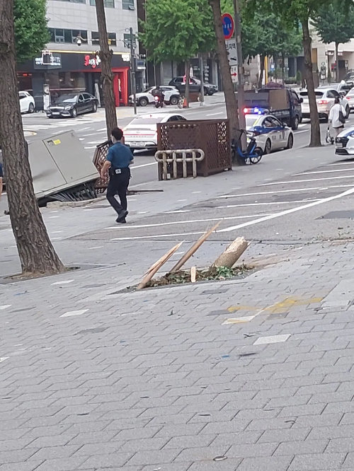 서울-강남구-논현동