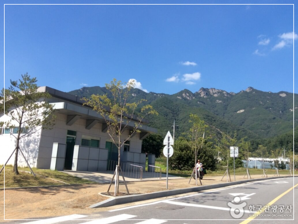 보은 가볼만한곳 베스트10 구병산자연휴양림
