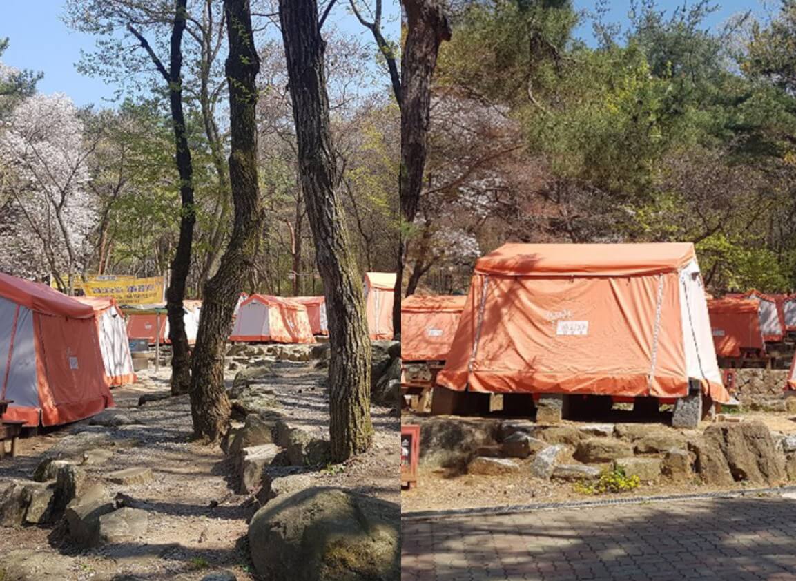 서울캠핑장 예약