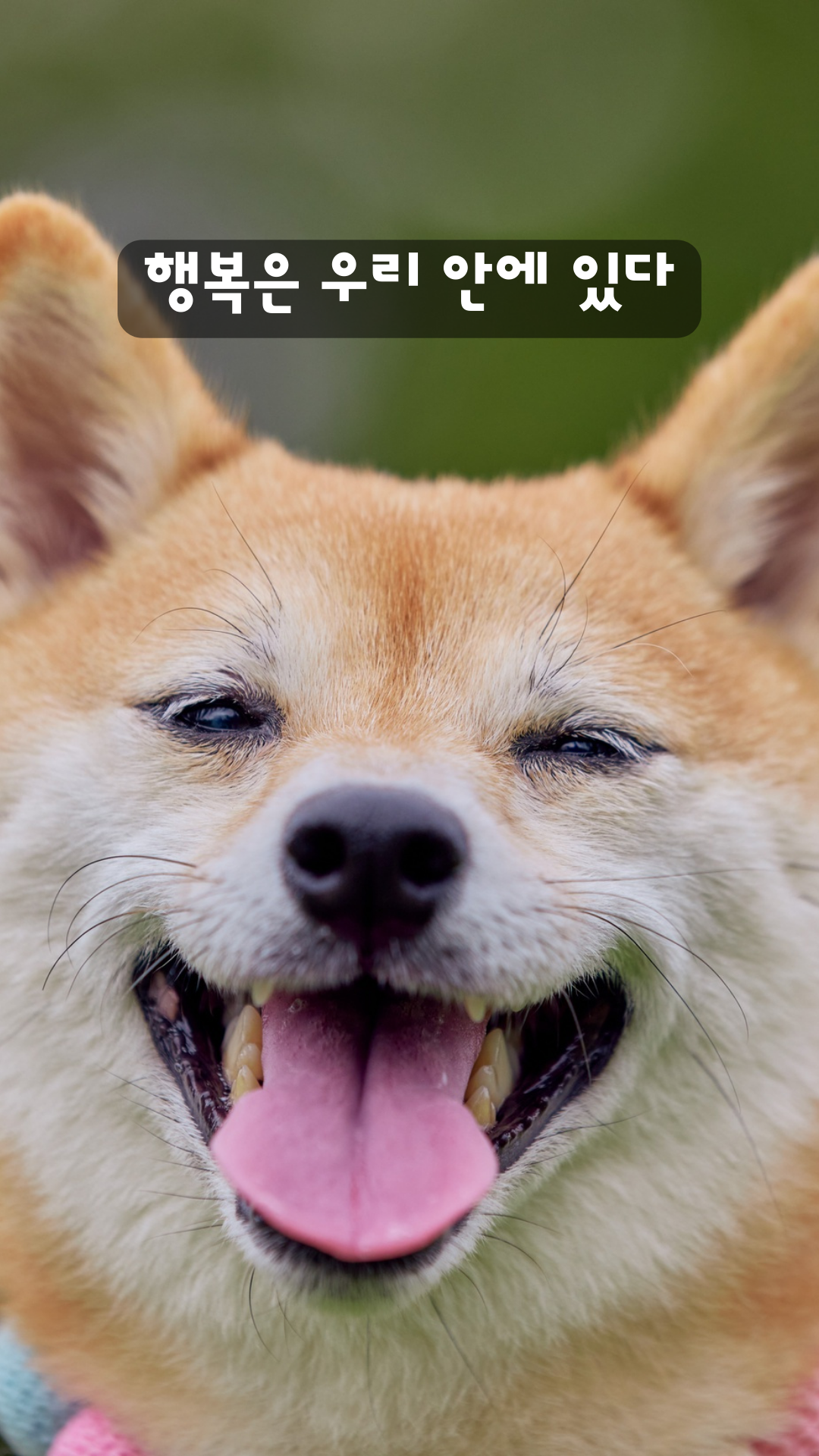 행복한 글귀 명언 문구 좋은 글 이미지 배경 모음