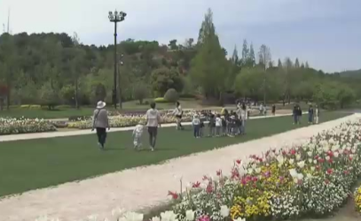 산책로