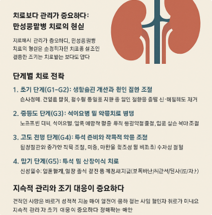만성콩팥병 치료 방법: 단계별 접근 전략과 효과적인 관리법