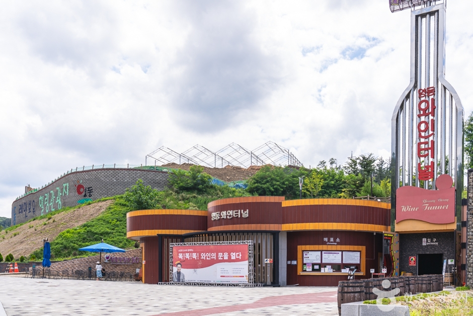 영동 가볼만한곳 베스트10