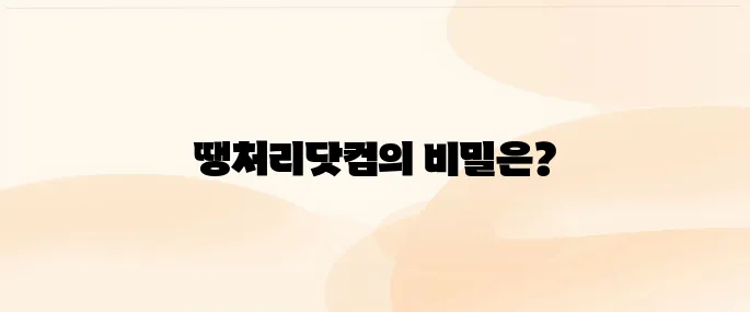 땡처리닷컴 이용방법 주요 서비스 알아보기