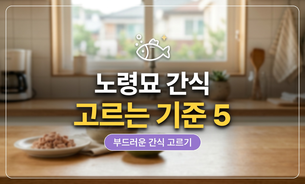 노령묘 간식 고르기