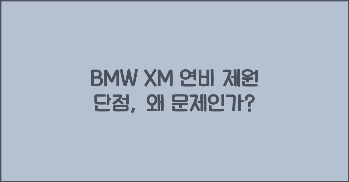 BMW XM 연비 제원 단점