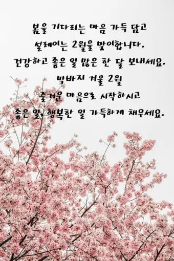 2월 인사말 예시 모음 이모티콘_5