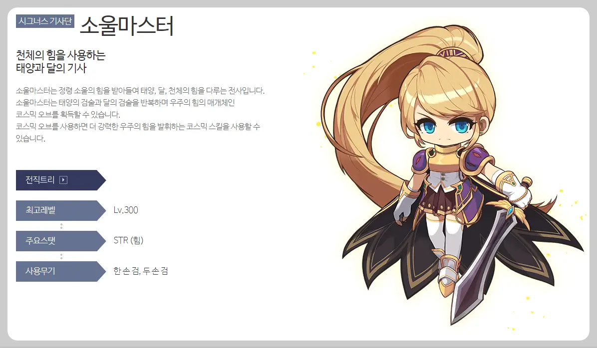 메이플스토리 소울마스터
