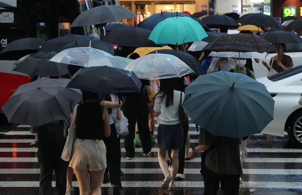 서울 강남 폭우