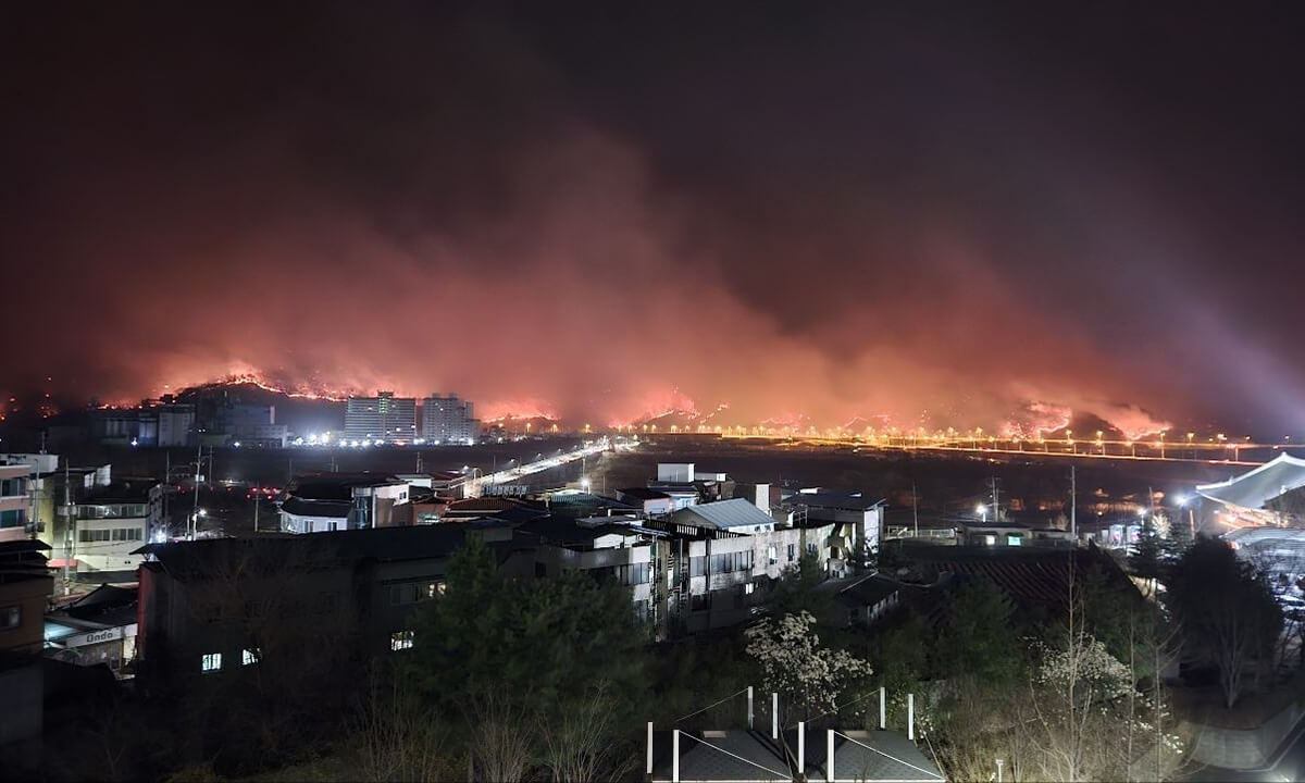경북 의성 산불 닷새째…사망자 15명, 피해 지역·원인 총정리