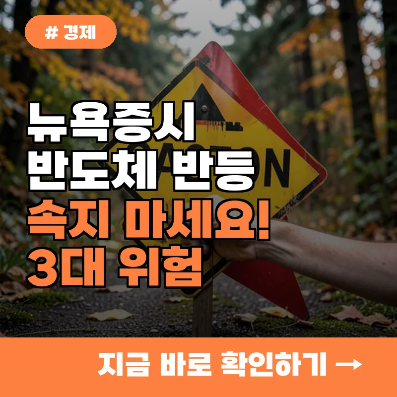 뉴욕증시 반도체 반등에 속지 마세요! 지금 조심해야 할 3가지 위험