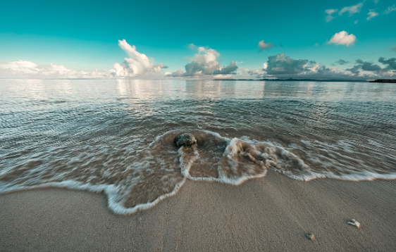 [1-2월 말레이시아 코타키나발루 쿠알라룸프루 여행준비물] 날씨/해외로밍