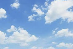 ENTP 유형 특징 분석