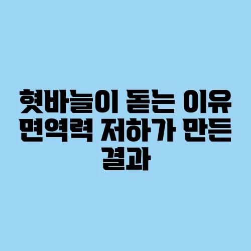 혓바늘이 돋는 이유 면역력 저하가 만든 결과
