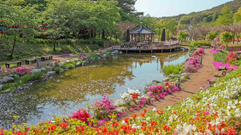 삼선산수목원: 자연 속 힐링과 물놀이
