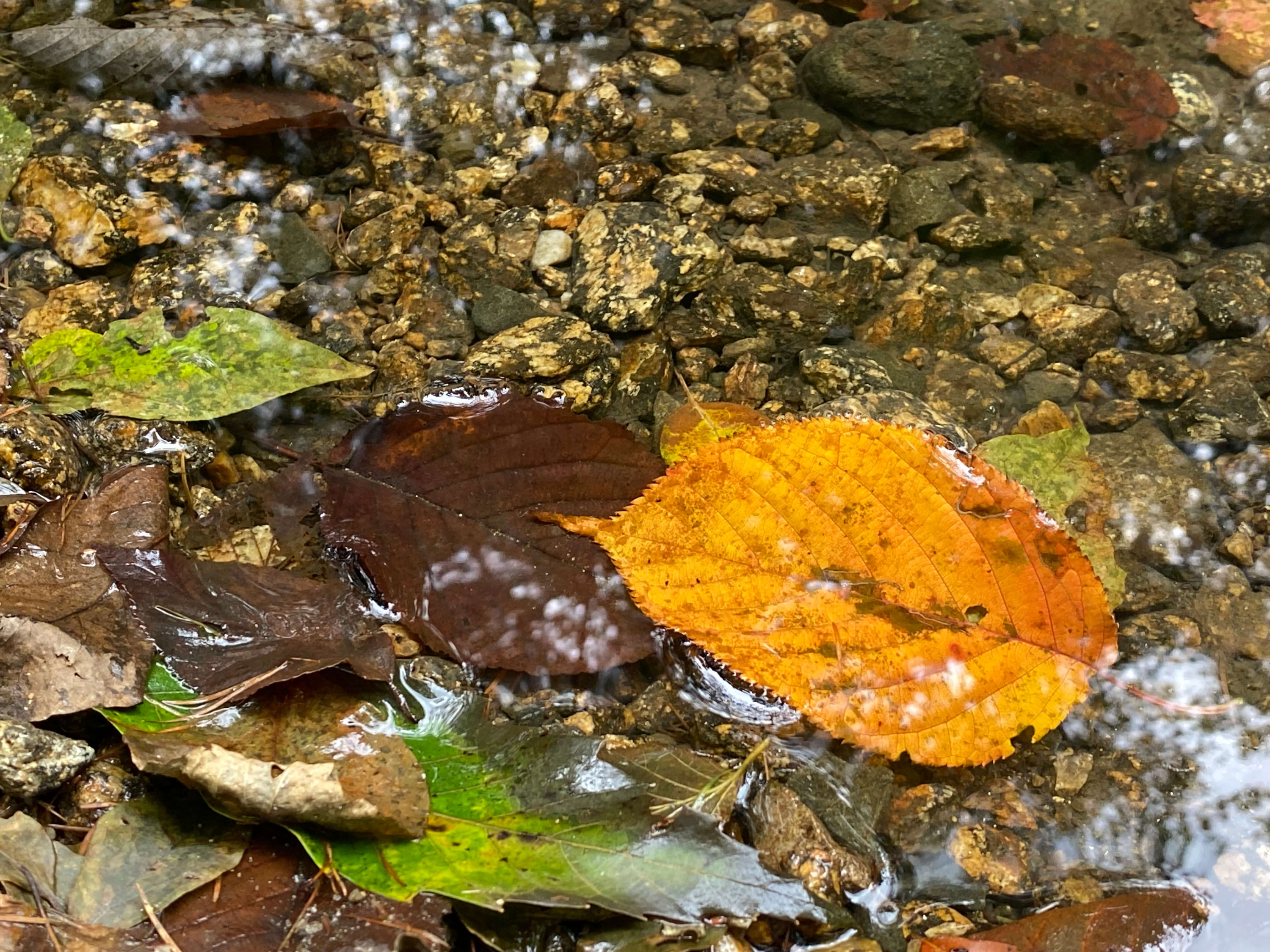 하동 삼성궁 가는길 입장료 단풍구경 근처 가볼만한곳 사진찍는곳 추천/카페 파전 막걸리 