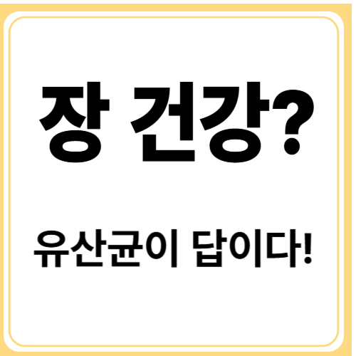 변비, 장염, 면역력까지&hellip; 프로바이오틱스 효능 완벽 가이드