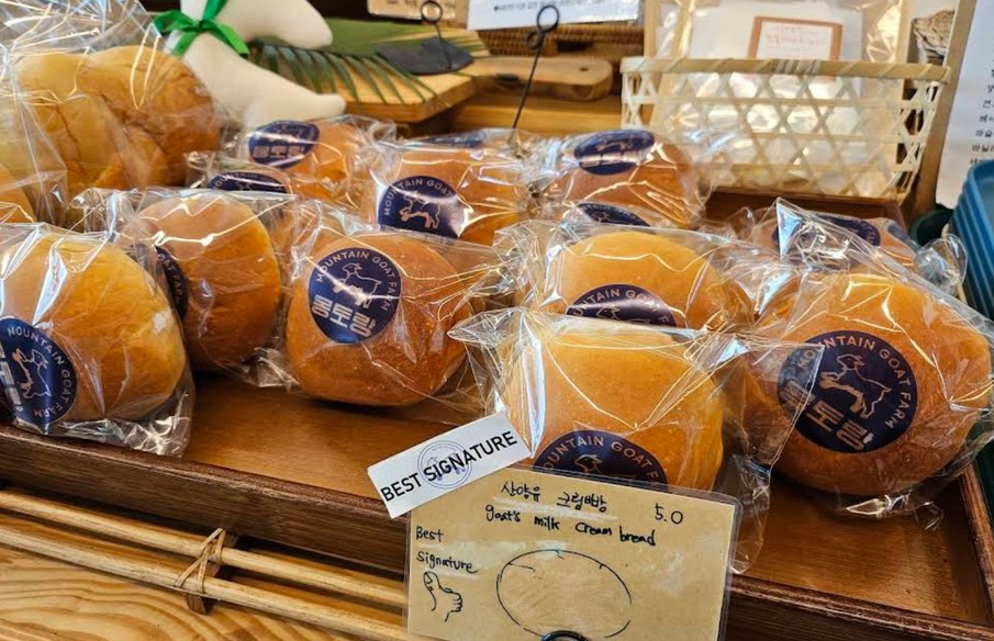 강원도 산양 체험 가능한 곳? 몽토랑목장 후기 정리해봤어요