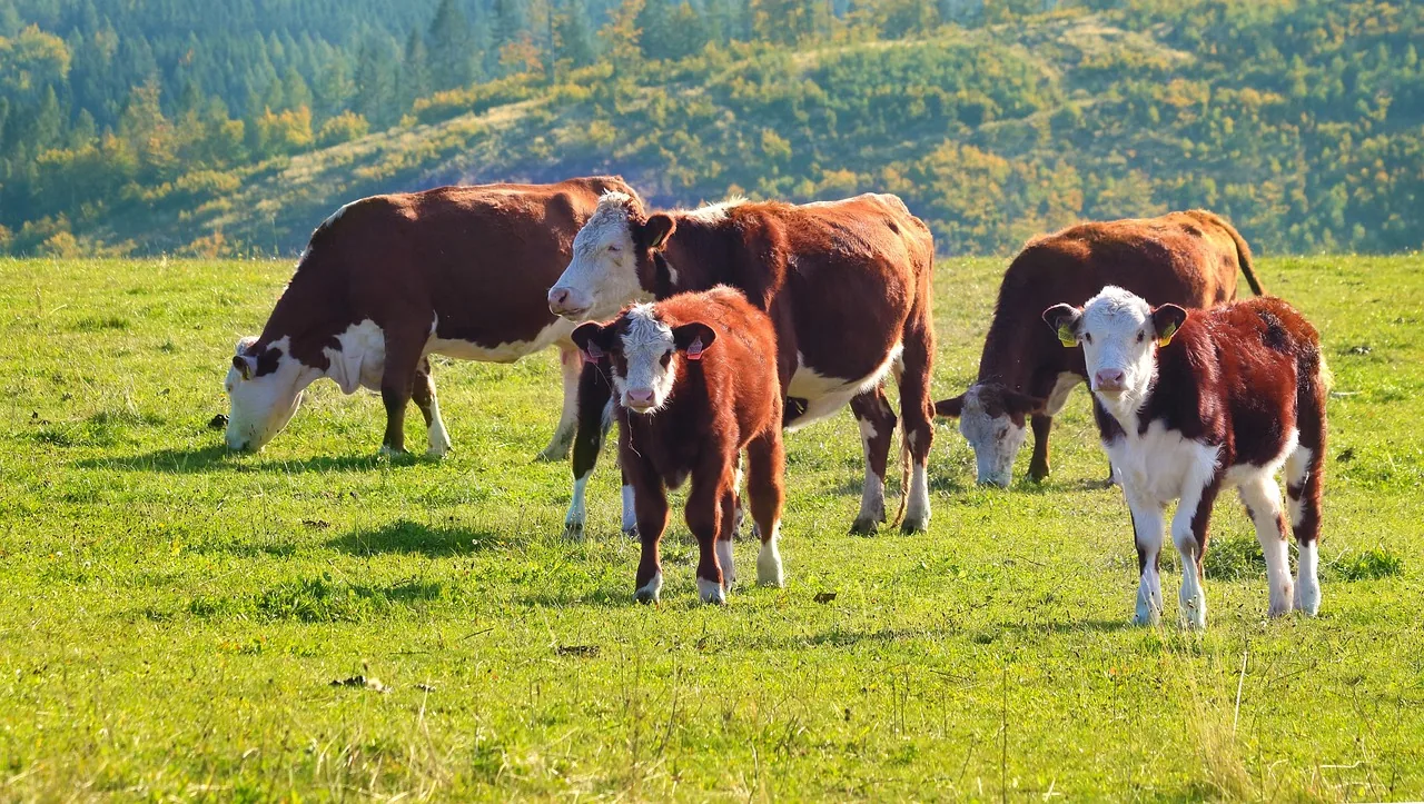 지방세 연장 대상&middot;신청 절차 한눈에